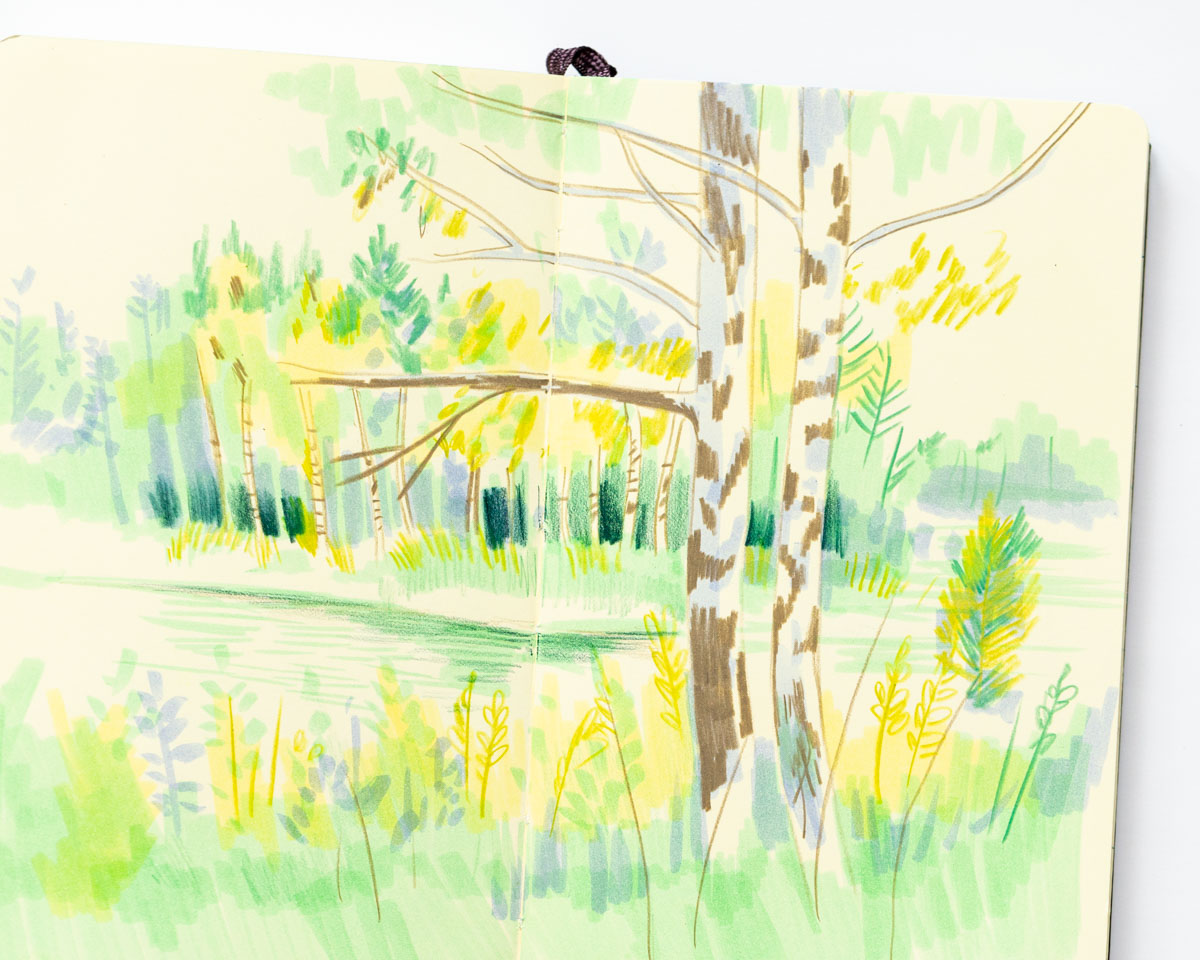 Forest near Vastervik